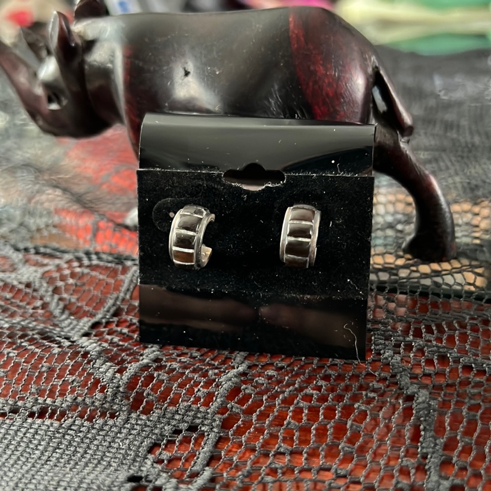 Silver hoop with dark brown gems Earrings